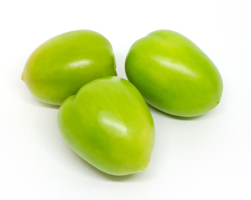 Tomate Italiano Verde