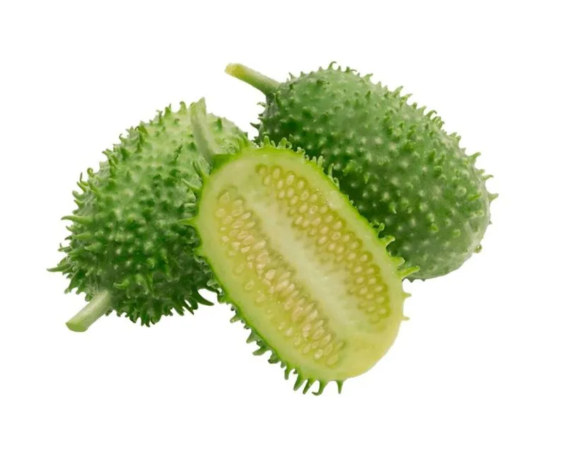 Maxixe