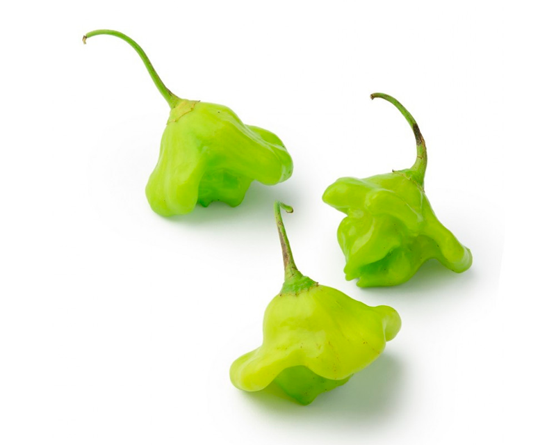 Pimenta Cambuci