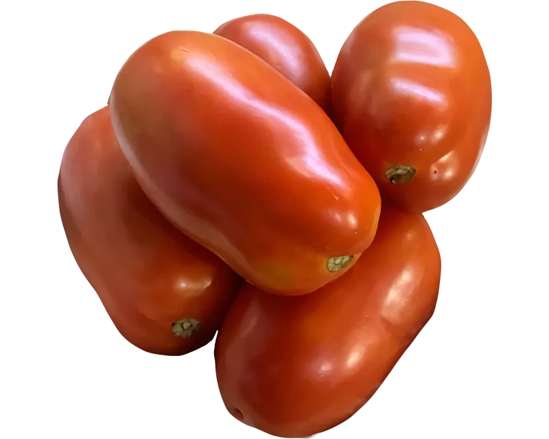 Tomate Rasteiro